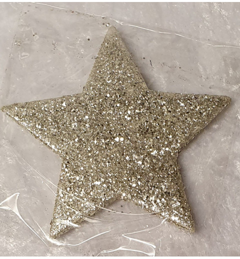 Glitzer Stern champagner