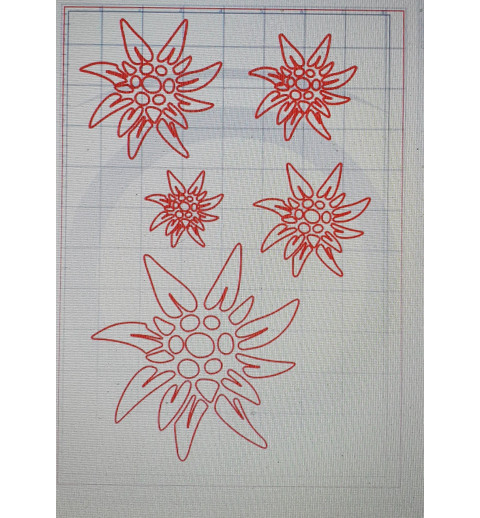 Schablone Edelweiss