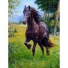 3D Pixel Bild Pferd