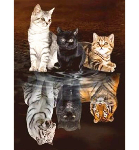 3D Pixel Bild Katzen