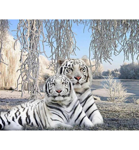 3D Pixel Bilde weisse Tiger