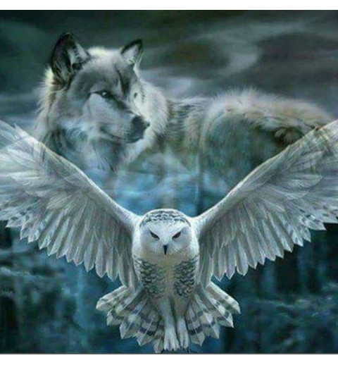 3D Pixel Bild Wolf/Eule