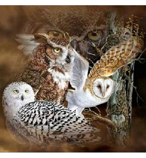 3D Pixel Bild Eulen