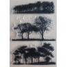 Clear Stamps Bäume