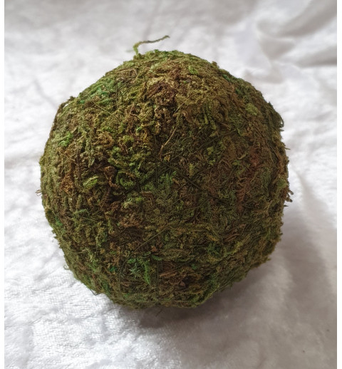 Kugel aus Moos