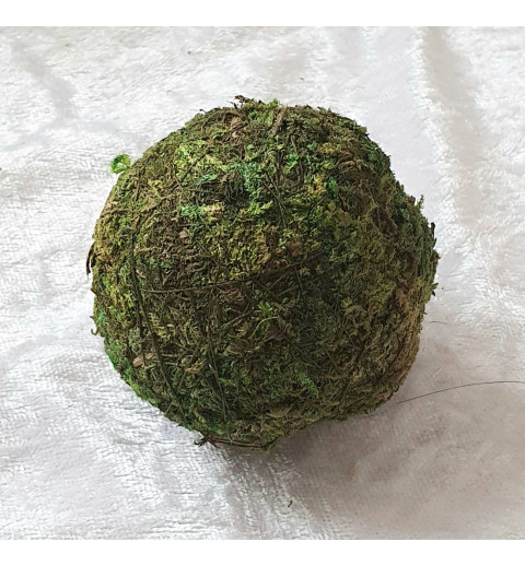 Kugel aus Moos