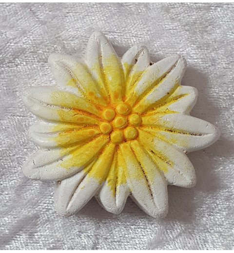 Edelweiss Magnet