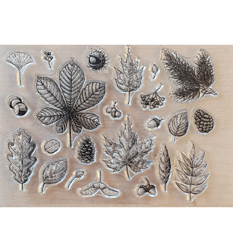 Clear Stamps Blätter