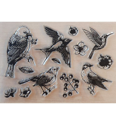 Clear Stamps Vögel