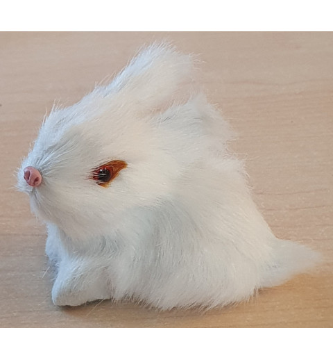 Kaninchen weiss