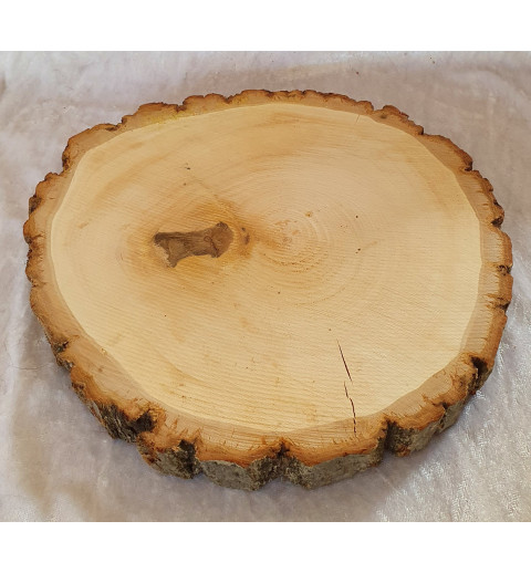 Holzscheibe