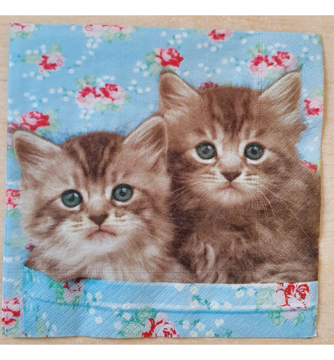 Serviette Katzen