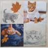 Serviette Katzen