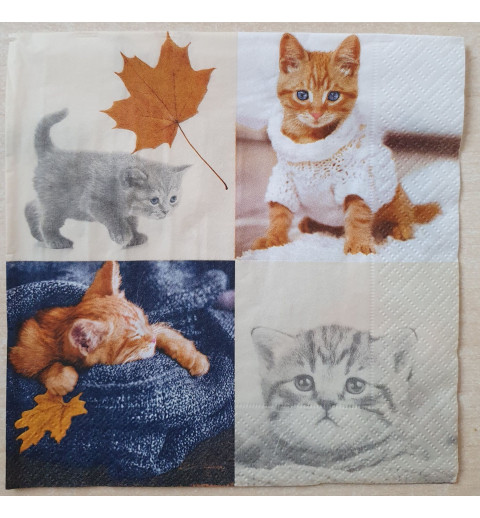 Serviette Katze