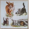 Serviette Katzen
