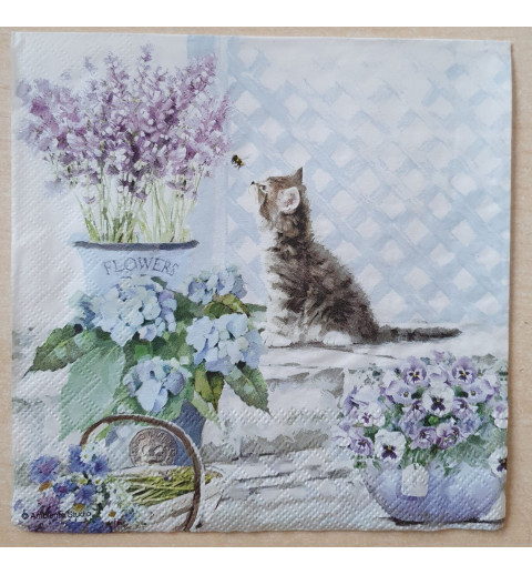 Serviette Katze