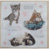 Serviette Katzen