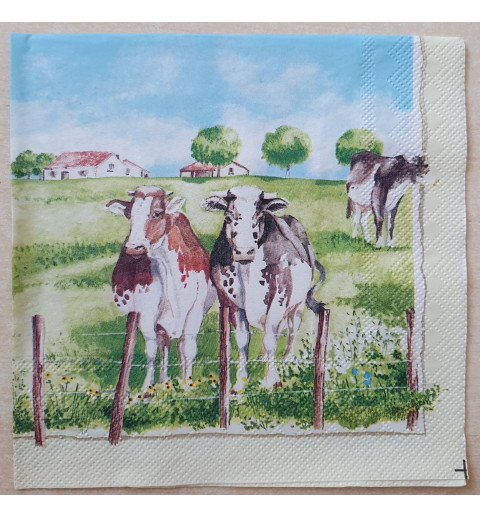 Serviette Kühe