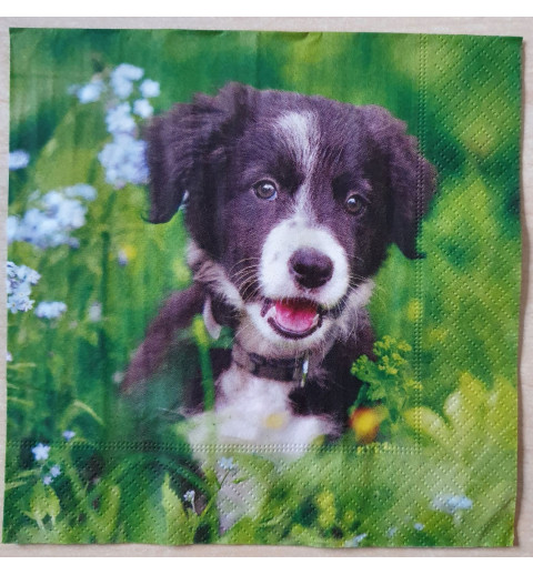 Serviette Hund