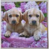 Serviette Hunde