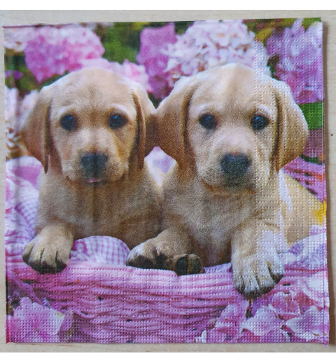 Serviette Hund