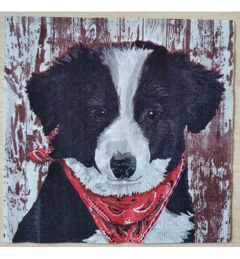 Serviette Hund