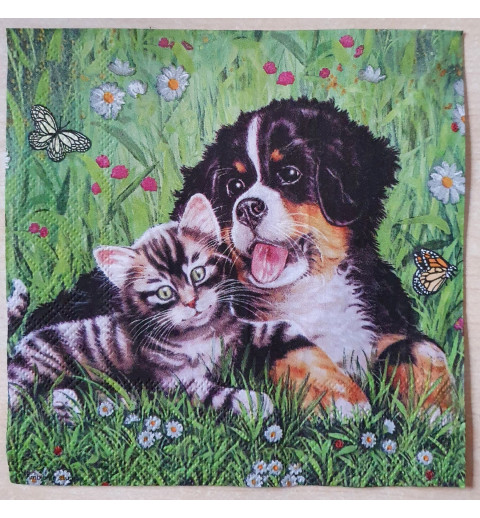 Serviette Hund/Katze