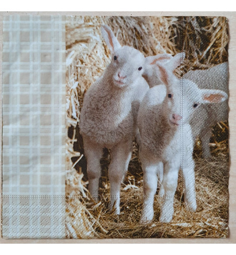 Serviette Lamm