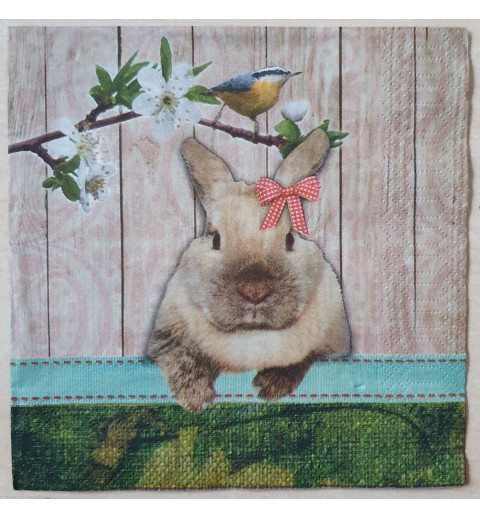 Serviette Kaninchen/Ei