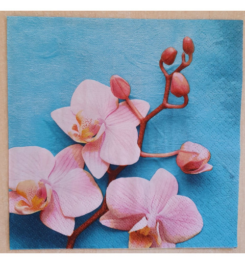 Serviette Orchideen