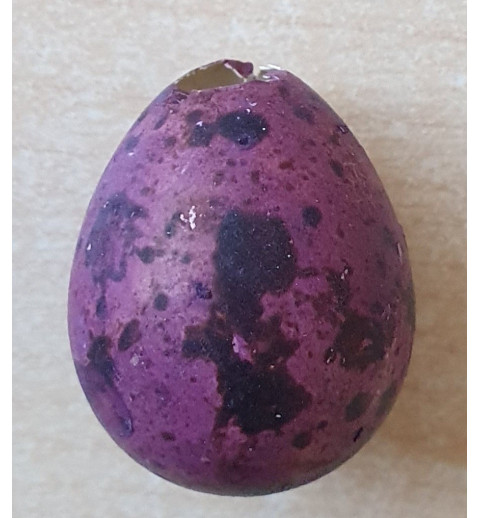 Deko Wachtelei gefärbt violette