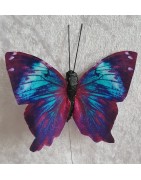 Schmetterlinge