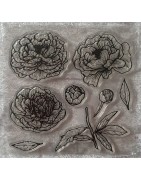 Blumen/Pflanzen