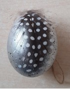 Eier