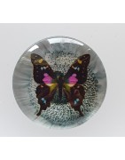 Cabochon 16 mm
