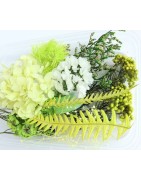 Trockenblumen/Gräser