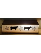 LED Balken/Boxen
